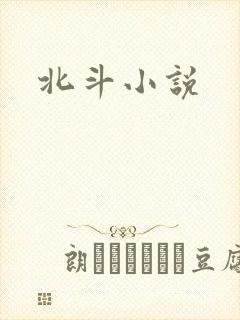 北斗小说封面