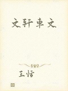 文轩车文
