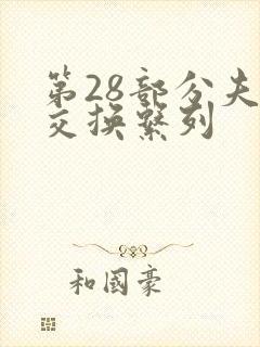 第28部分夫妇交换系列