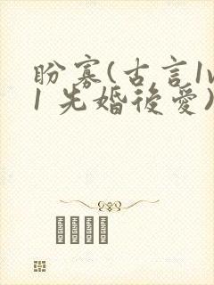 盼寡(古言1v1 先婚后爱)