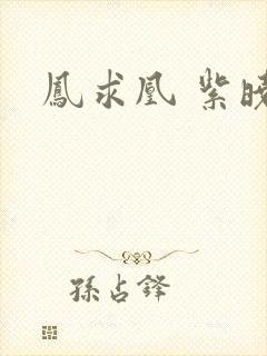 凤求凰 紫晓
