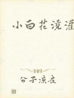 小白花浇灌日常