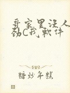 哥家里没人使点劲C我软件