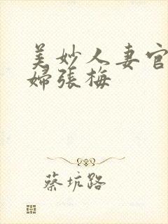 美妙人妻官场少妇张梅封面