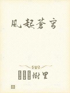 风起苍穹