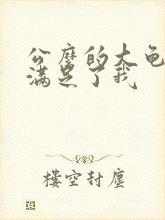 公么的大龟强大满足了我