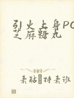 引火上身POP芝麻糖丸
