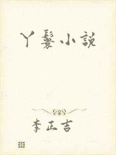 丫鬟小说