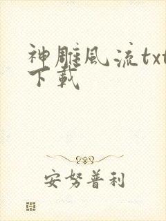 神雕风流txt下载