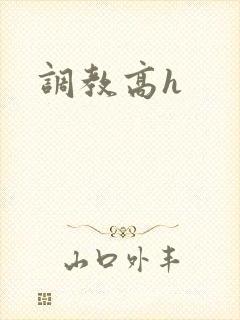 调教高h
