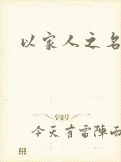 以家人之名小说