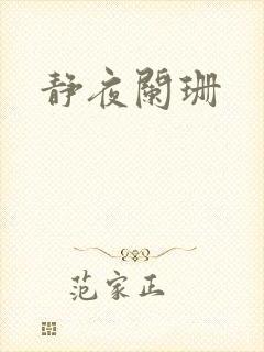 静夜阑珊