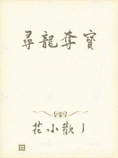 寻龙夺宝封面