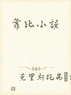 靠比小说封面