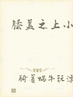 膝盖之上小说