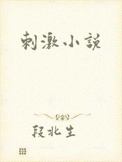刺激小说