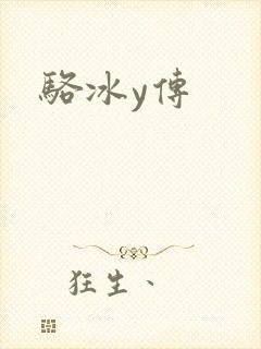 骆冰y传封面
