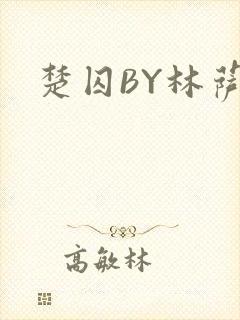 楚囚BY林萨封面
