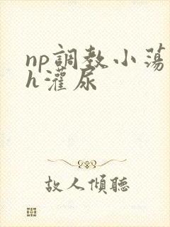np调教小荡货h灌尿封面