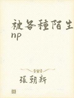 被各种陌生人 np