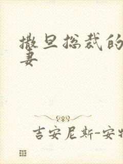 撒旦总裁的下堂妻