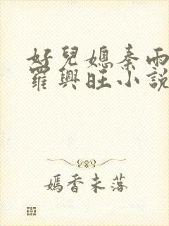 好儿媳秦雨罗明罗兴旺小说