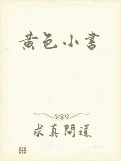 黄色小书