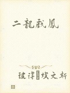 二龙戏凤
