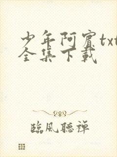 少年阿宾txt全集下载封面
