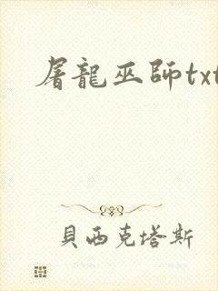 屠龙巫师txt