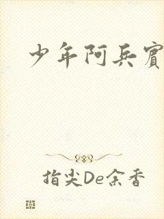 少年阿兵宾封面