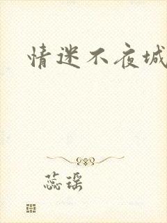 情迷不夜城