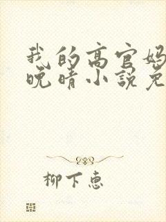 我的高官妈妈苏晚晴小说免费阅读