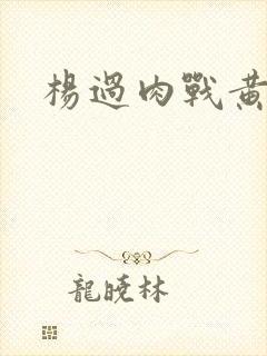 杨过肉战黄蓉