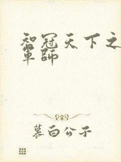 智冠天下之风流军师封面