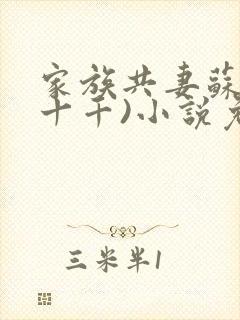 家族共妻苏苏(十千)小说免费