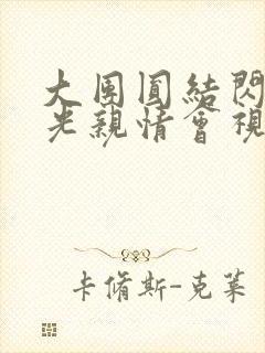 大团圆结闪闪发光亲情会视频