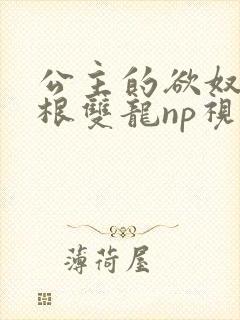 公主的欲奴h四根双龙np视频