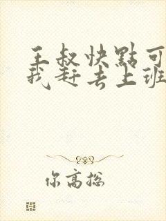 王叔快点可以吗我赶去上班封面