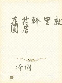 在花轿里就开始圆房