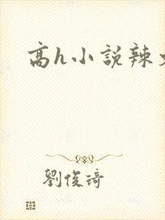高h小说辣文