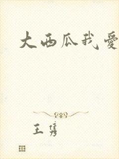 大西瓜我爱你封面
