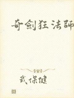 奇剑狂法师封面