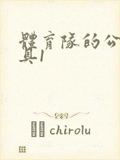 体育队的公用玩具1