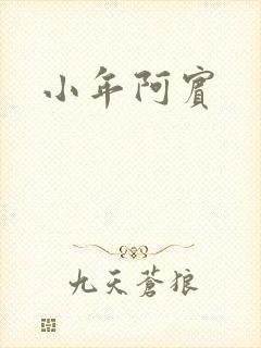 小年阿宾