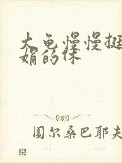大龟慢慢挺进张娟的休
