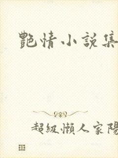 艳情小说集封面