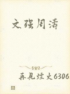 文强周涛
