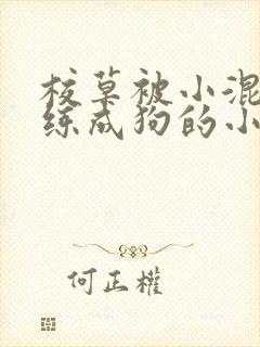 校草被小混混训练成狗的小说封面