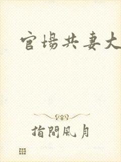 官场共妻大交换